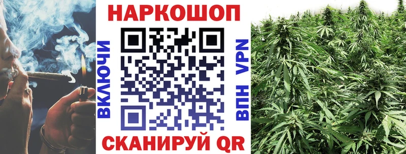 Где купить Александровское Каннабис Амфетамин СК Мефедрон COCAIN