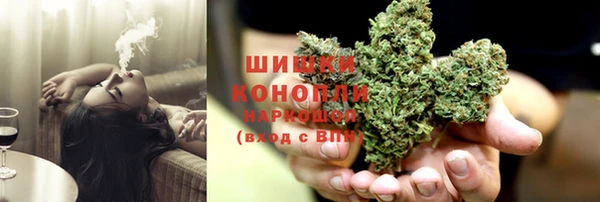 гидра Алзамай