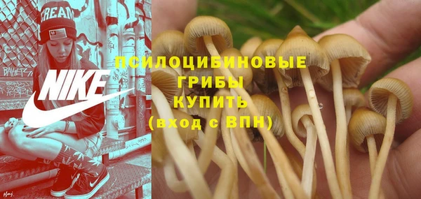 герыч Алексеевка