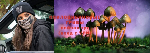 гидра Алзамай